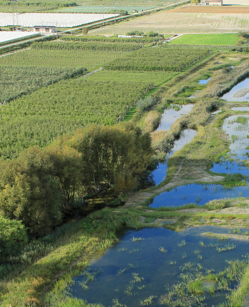 Vue aérienne Marais Ardon et Chamoson
